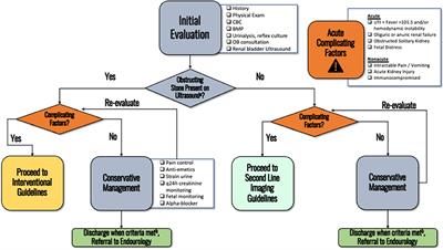 Management of Nephrolithiasis in Pregnancy: Multi-Disciplinary Guidelines From an Academic Medical Center